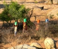 Singida