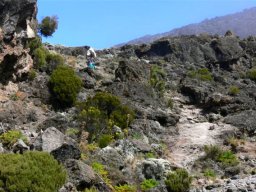 kilimanjaro_14_15_20160224_1364118364