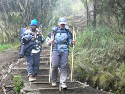 kilimanjaro_14_19_20160224_1457193783