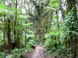 kilimanjaro_14_5_20160224_1026301470