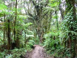 kilimanjaro_14_5_20160224_1026301470