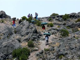 kilimanjaro_14_7_20160224_1008207640