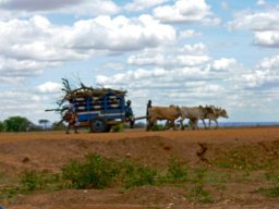 singida_4_20160224_1170197599